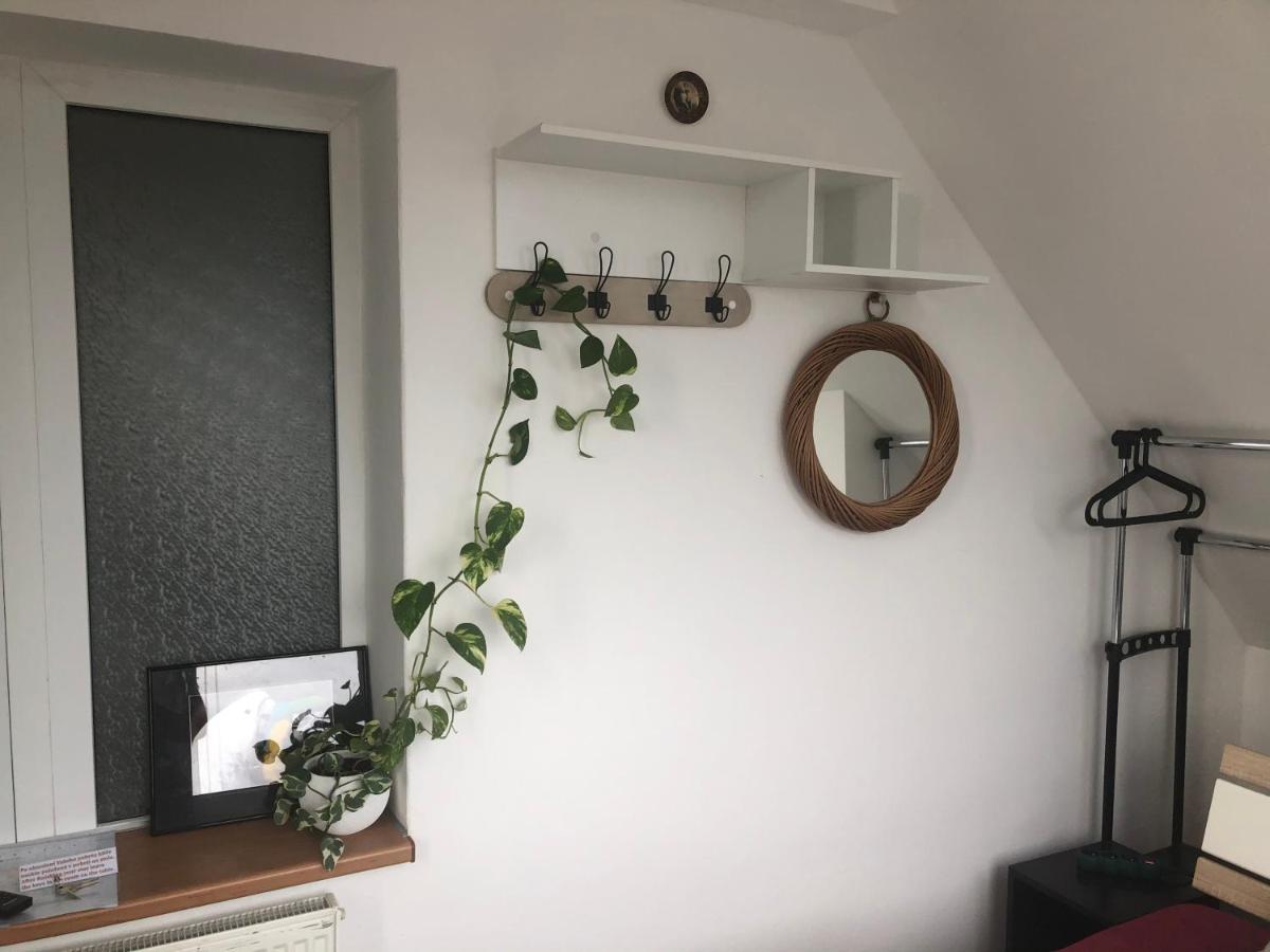 Homestay U Hanky Zdiby Ngoại thất bức ảnh